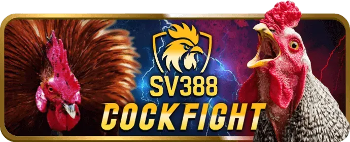 Bảo mật 97win chính thức